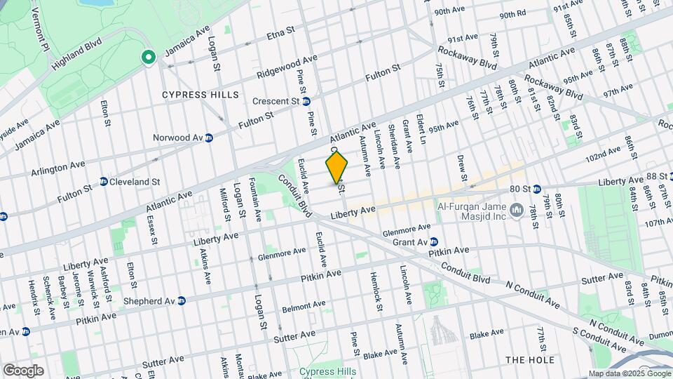 118 Mckinley Ave Mapa y Detalles de la Ubicación