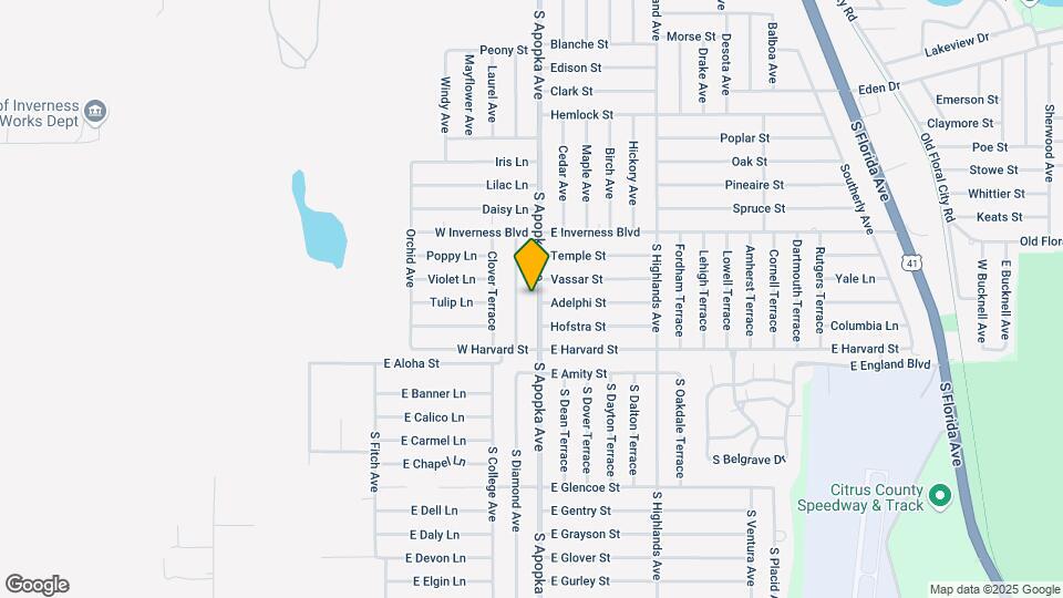 1145 S Apopka Ave Map and Location Details