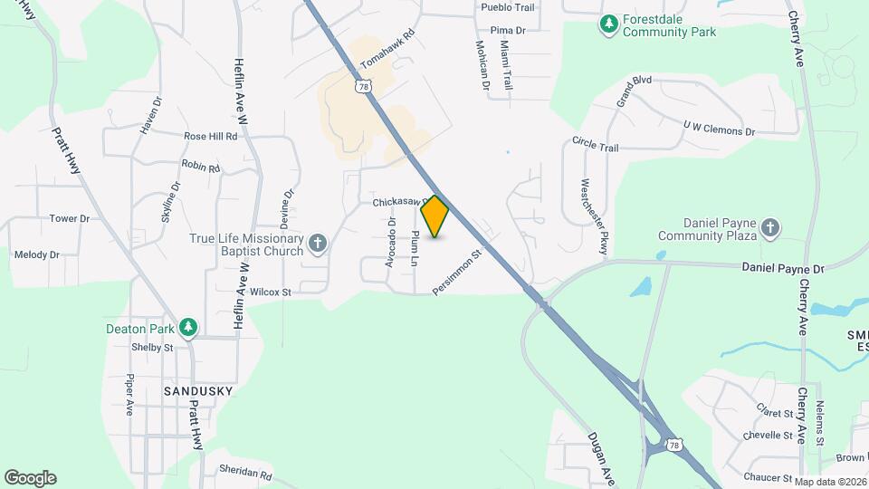 120 Dewberry Ln Mapa y Detalles de la Ubicación