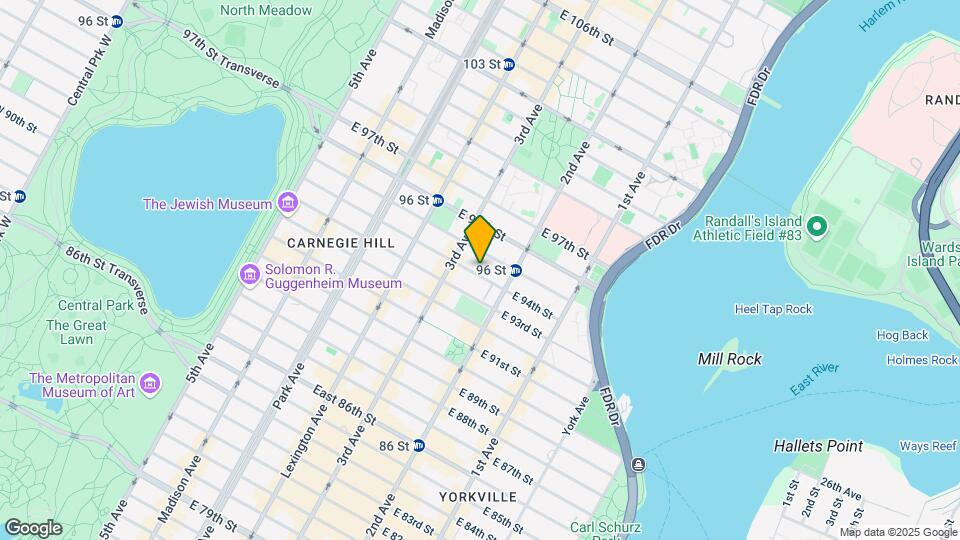 219 E 94th St Mapa y Detalles de la Ubicación