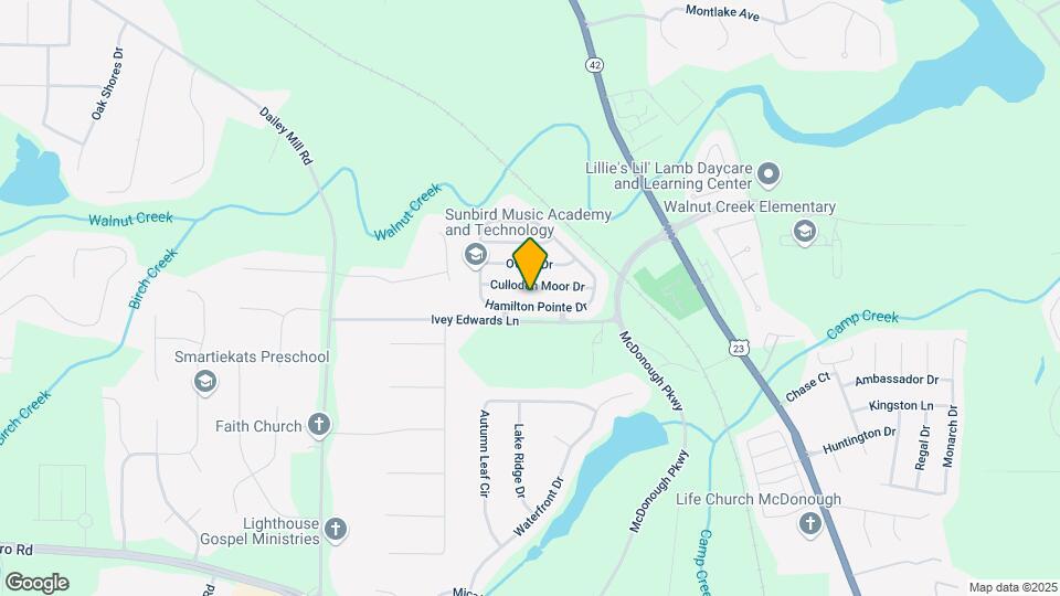 124 Hamilton Pointe Dr Map and Location Details