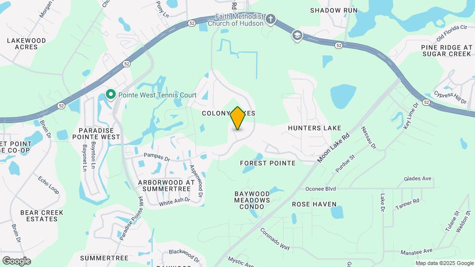 11910 Old Tuscany Pl Mapa y Detalles de la Ubicación