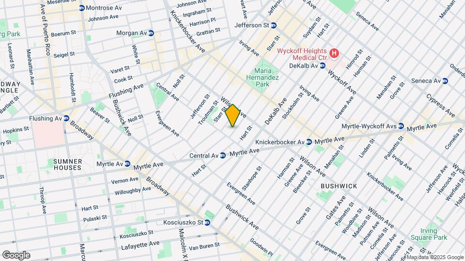 163 Suydam St Mapa y Detalles de la Ubicación