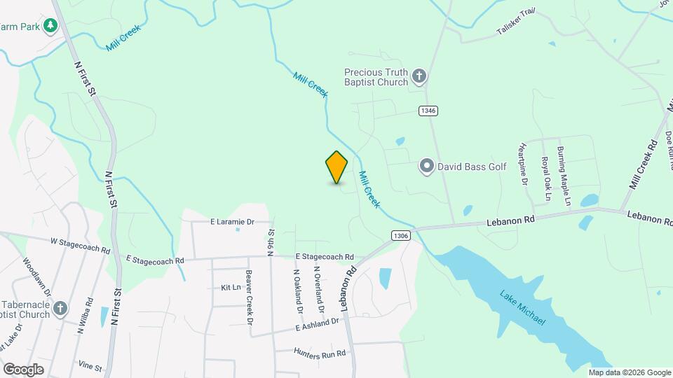 1029 Grey Flint Pl Map and Location Details