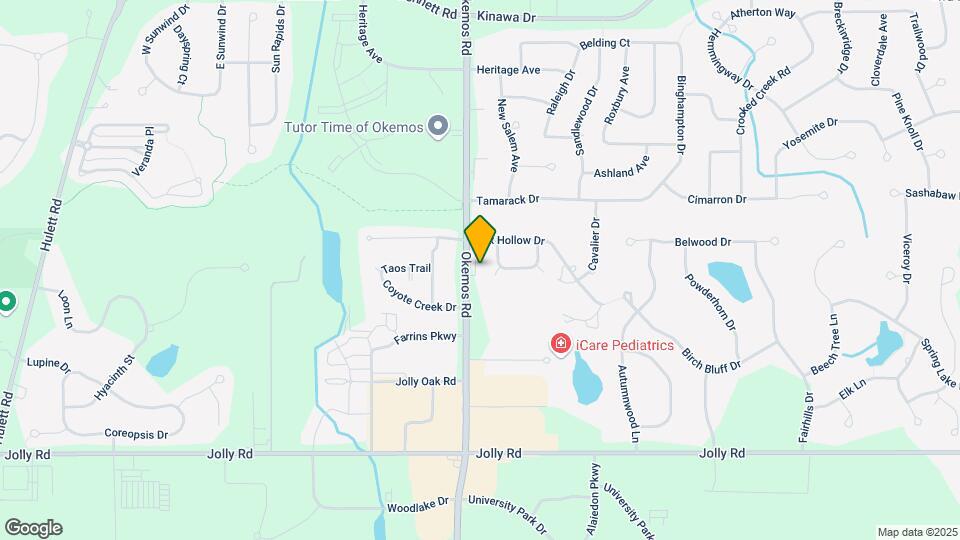 3696-3710 Okemos Rd Map and Location Details