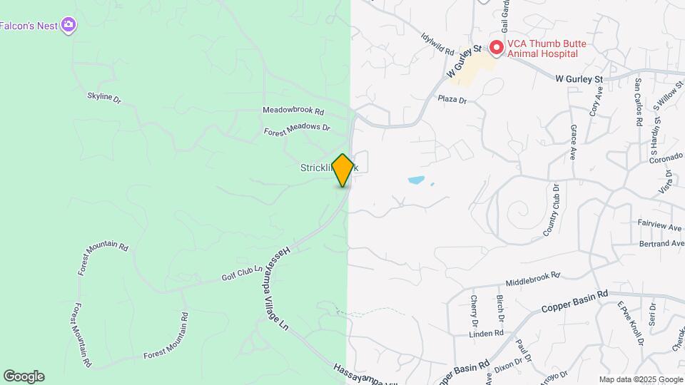 1755 Rustic Timbers Ln Map and Location Details