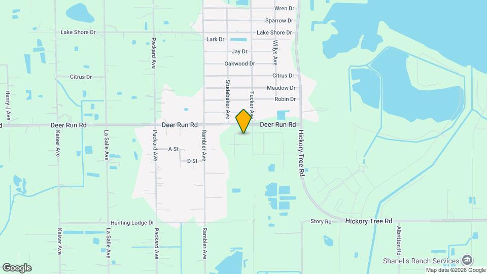 3838 Whitetail Ct Map and Location Details