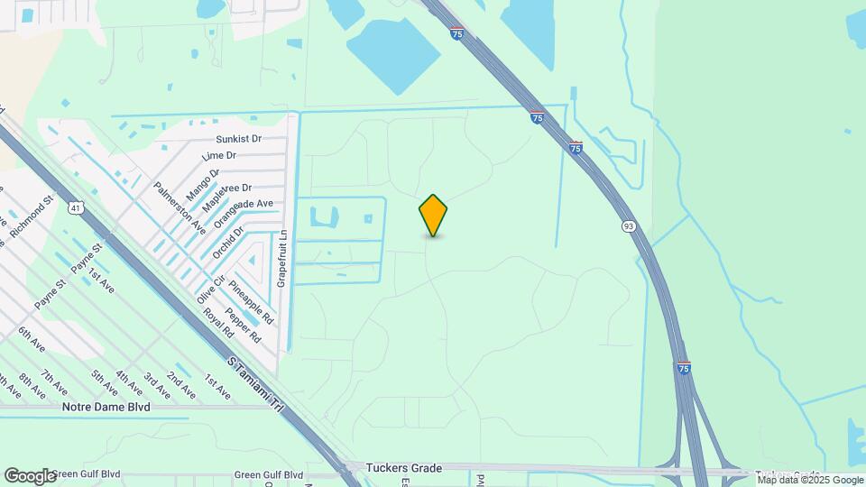 11369 Willowleaf Blvd Mapa y Detalles de la Ubicación