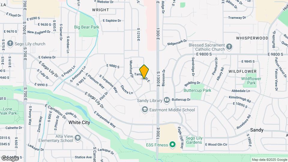 9967 Electra Ln Map and Location Details