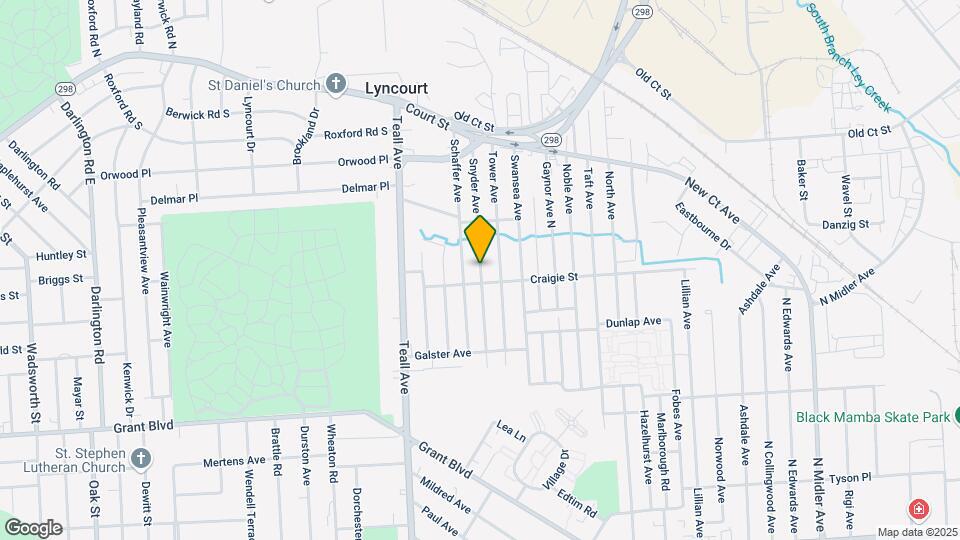 313 Snyder Ave Mapa y Detalles de la Ubicación