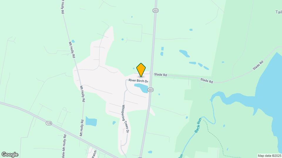 2029 River Birch Dr Mapa y Detalles de la Ubicación