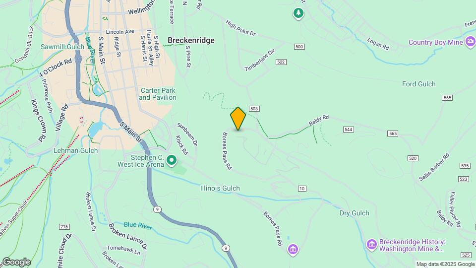 1682 Boreas Pass Rd Map and Location Details