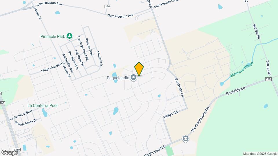 445 Shiner Ln Map and Location Details