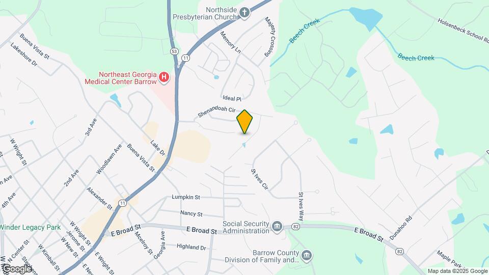 419 Shenandoah Ct Map and Location Details