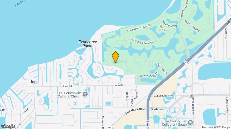 10907 Meadow Lark Cove Dr Map and Location Details