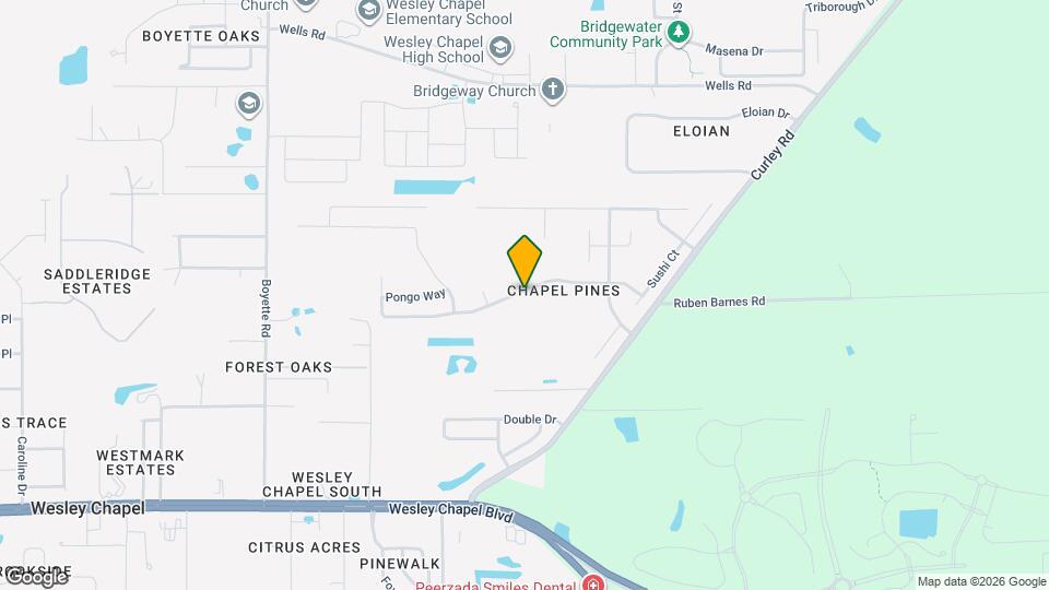 30602 Birdhouse Dr Mapa y Detalles de la Ubicación