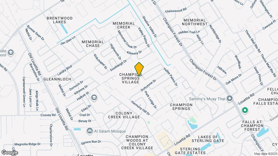 17322 Megan Springs Dr Mapa y Detalles de la Ubicación