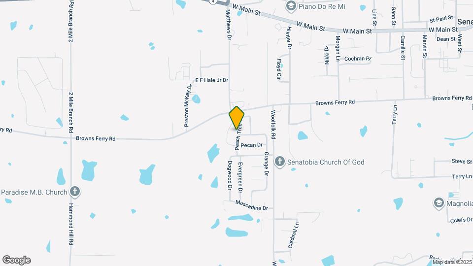 114 Peach Tree Dr Map and Location Details