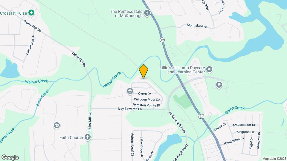251 Hamilton Pointe Dr Map and Location Details