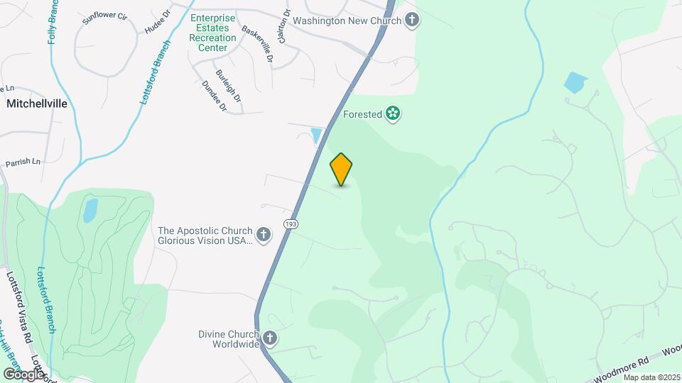 11708 Locust Dale Ct Mapa y Detalles de la Ubicación