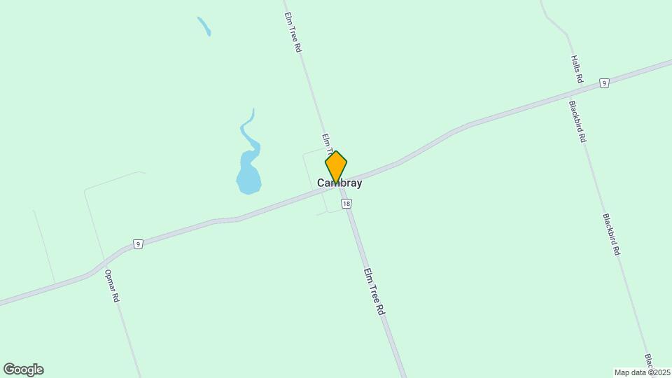 2307 Elm Tree Rd Map and Location Details