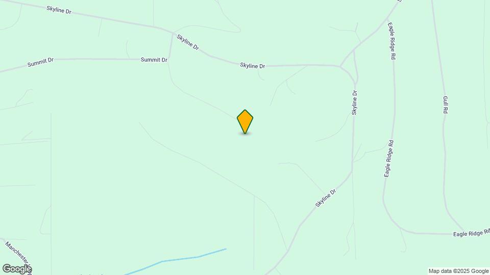 1239 Golden Heart Dr Map and Location Details