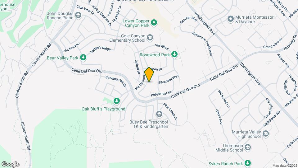 37876 Amberleaf Ct Map and Location Details