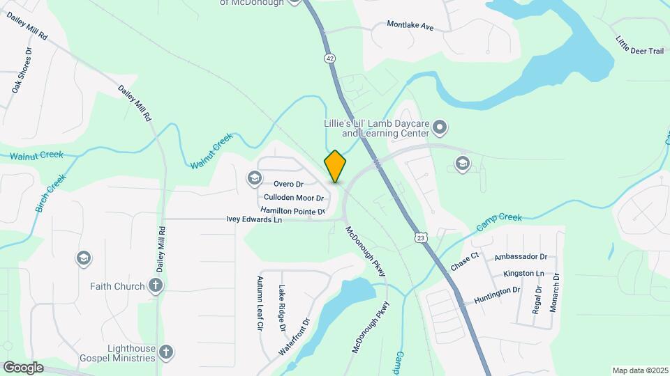 327 Hamilton Pointe Dr Map and Location Details