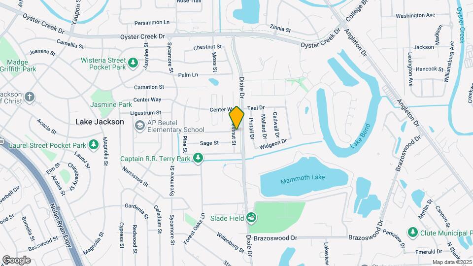 319 Chestnut St Map and Location Details