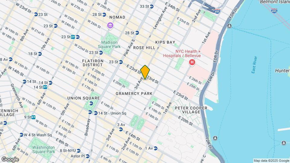 205 E 22nd St Mapa y Detalles de la Ubicación