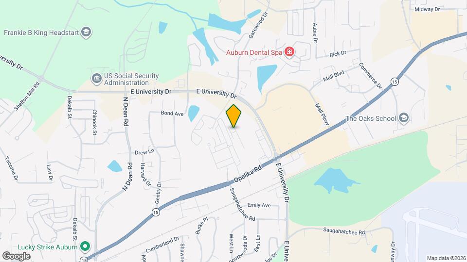 1117 Runningvine Ln Map and Location Details