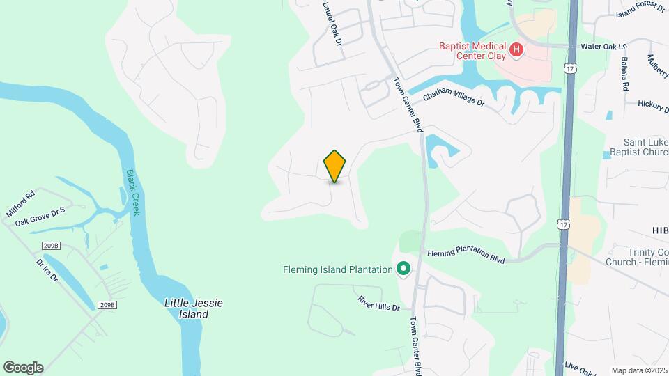 2305 Yellow Jasmine Ln Map and Location Details