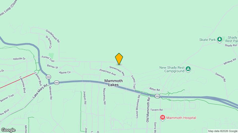 293 Forest Trail Mapa y Detalles de la Ubicación