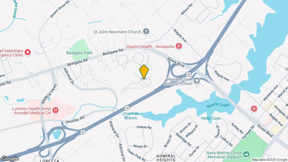 503 Captain John Brice Way Mapa y Detalles de la Ubicación