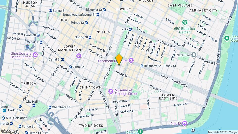 113 Eldridge St Mapa y Detalles de la Ubicación