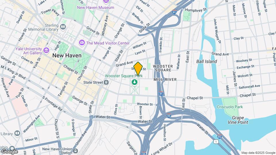 295 Greene St Map and Location Details