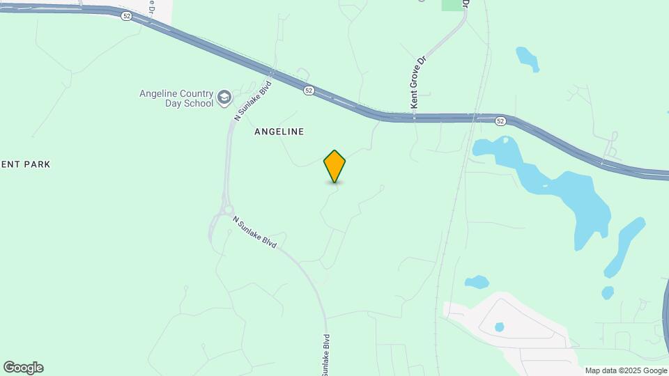 11367 Velvet Apricot Dr Map and Location Details