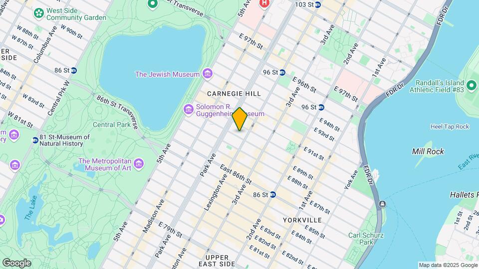 117 E 89th St Mapa y Detalles de la Ubicación