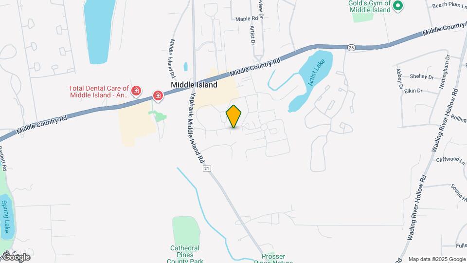 334 Artist Lake Dr Map and Location Details