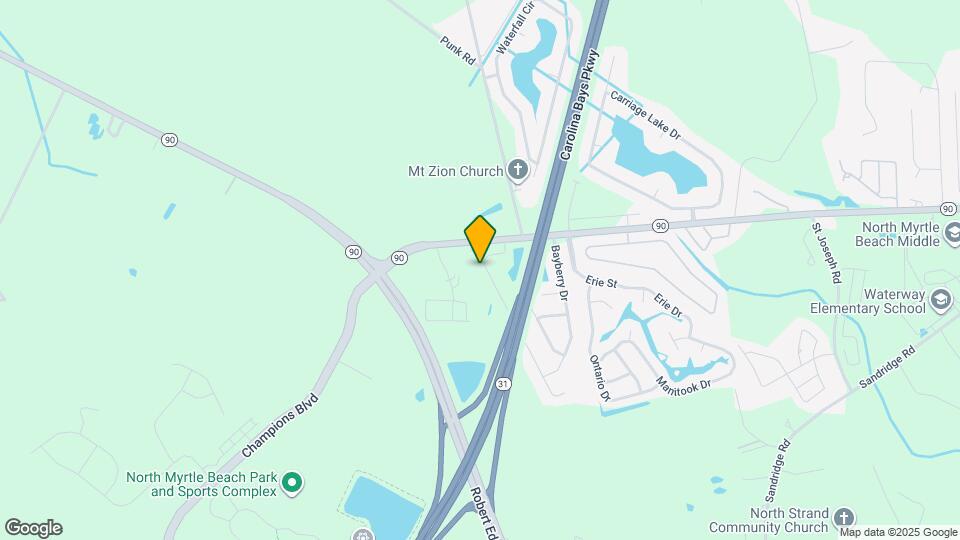 132 Carolina Pointe Way Map and Location Details