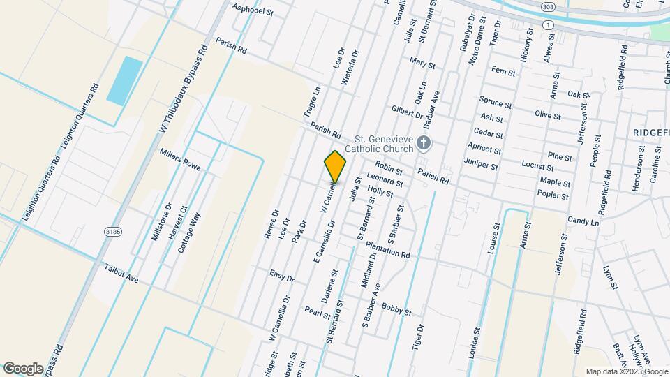 1123 W Camellia Dr Map and Location Details