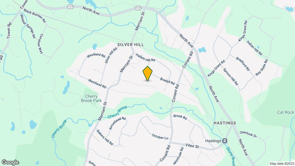 42 Willard Rd Map and Location Details