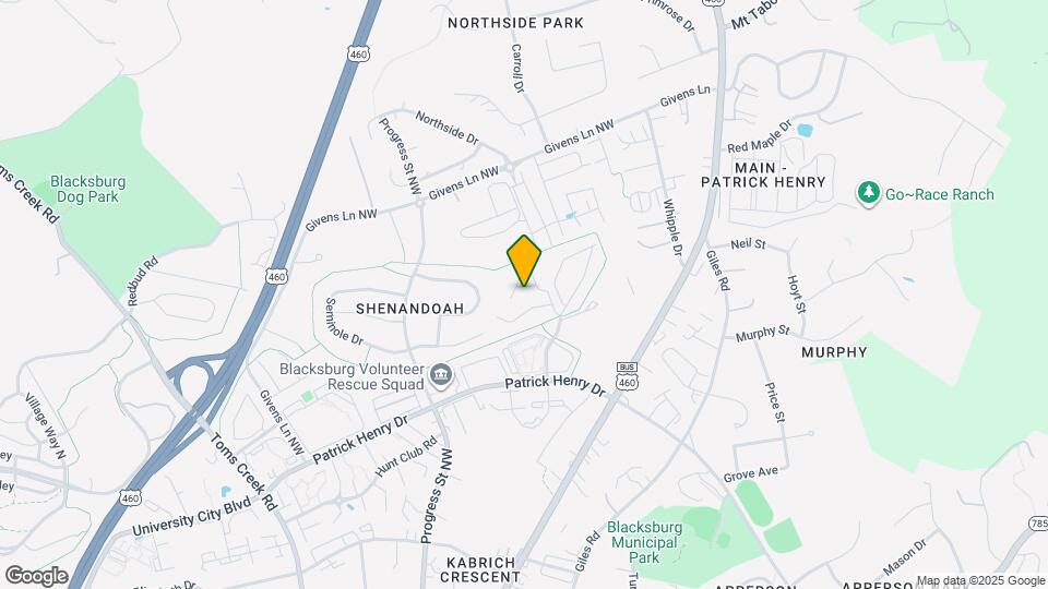 313 Pheasant Run Ct Map and Location Details