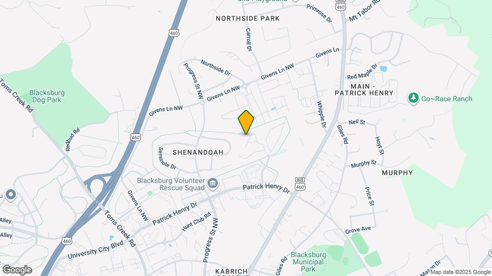 337 Pheasant Run Ct Map and Location Details