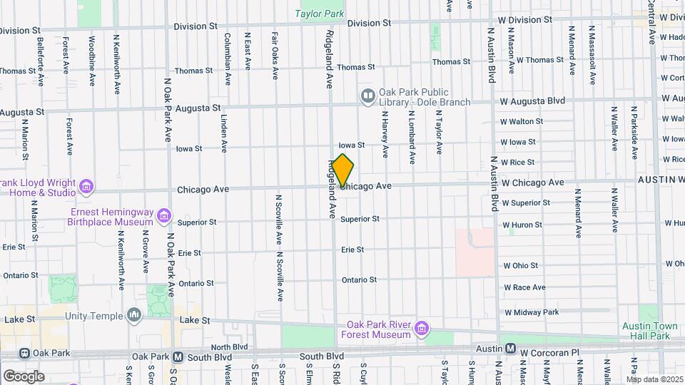 319 Chicago Ave, Unit 2 Mapa y Detalles de la Ubicación