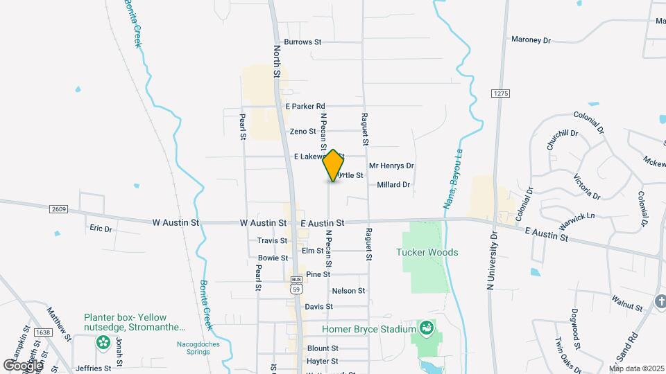 3302 N Pecan St Mapa y Detalles de la Ubicación