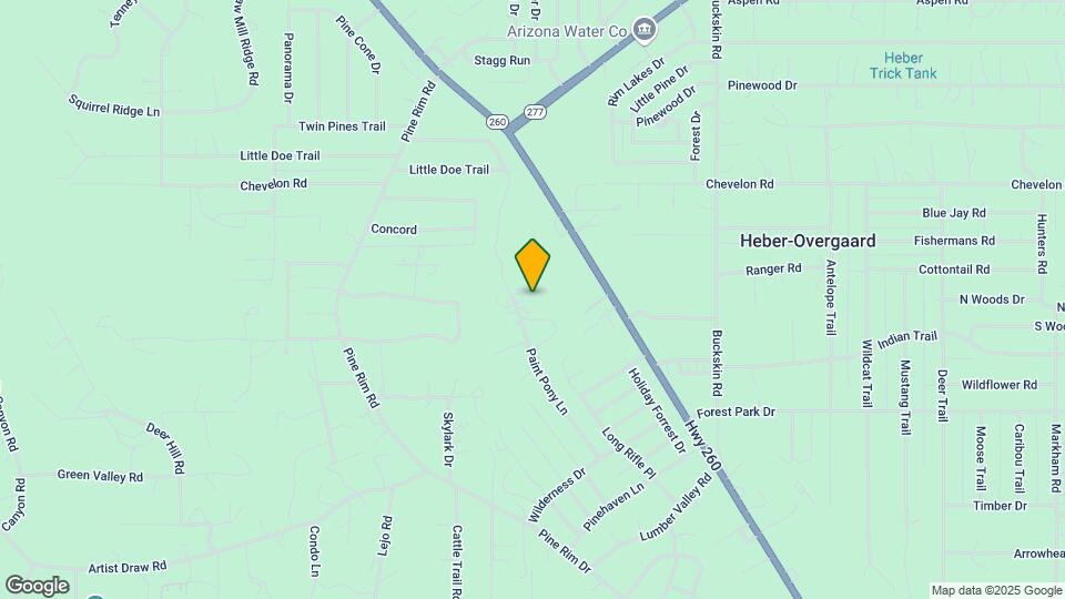2939 Paint Pony Ln Map and Location Details