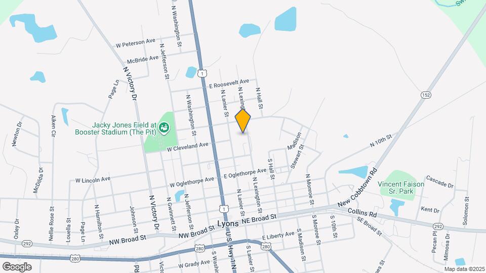 313 N Lexington St Rentals in Lyons, GA