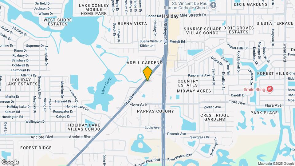 4309 Resort Loop Mapa y Detalles de la Ubicación
