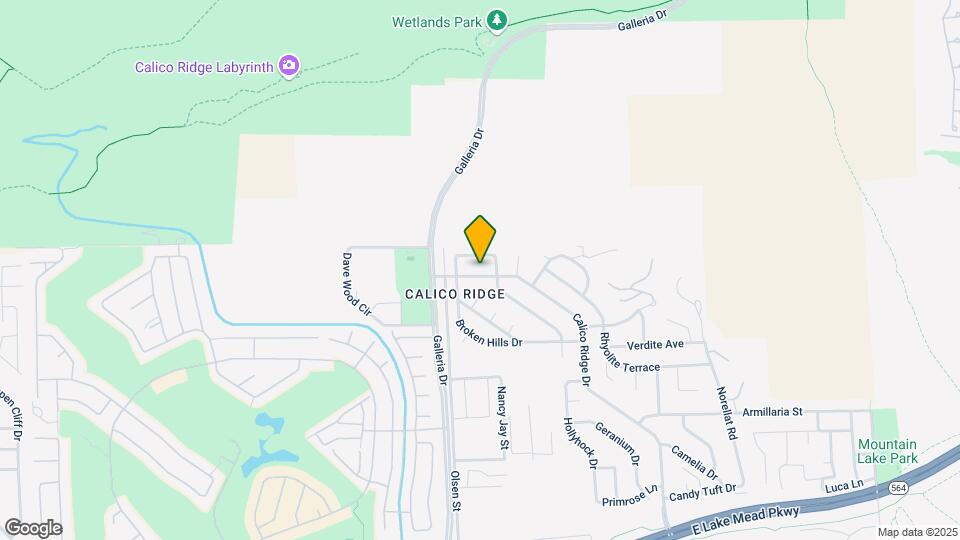 1169 Calico Ridge Dr Map and Location Details
